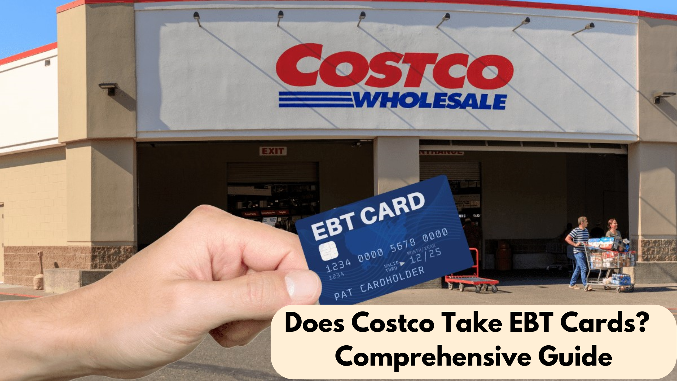Does Costco Take EBT Cards (Comprehensive Guide)