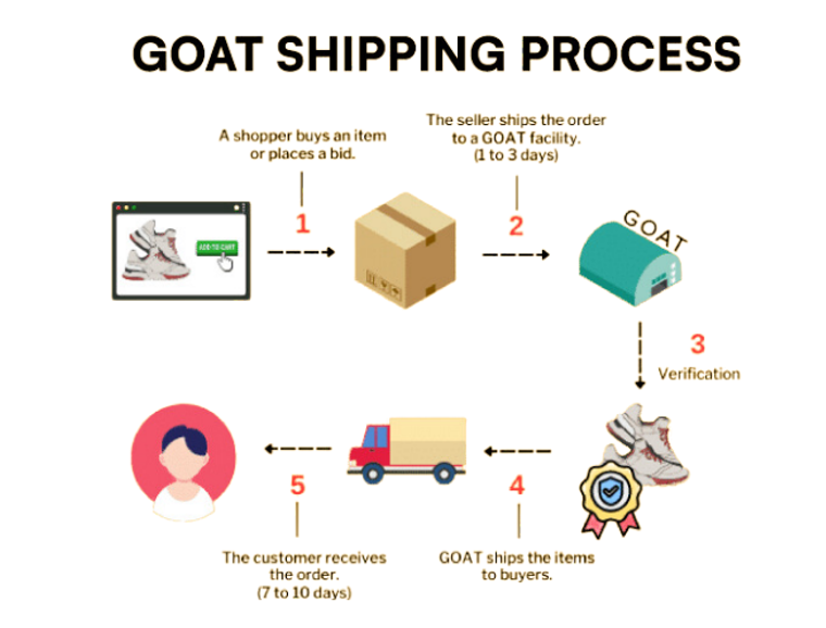 Goat shipping process in five steps.