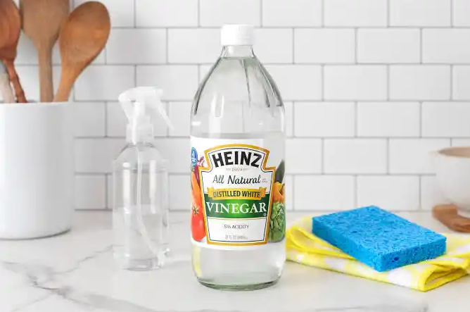 Distilled white vinegar in a glass bottle along with a sponge and plain water in spray bottle